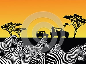 Africa safari vector