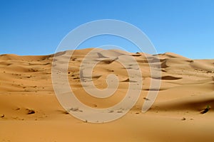 Africa sand desert dunes