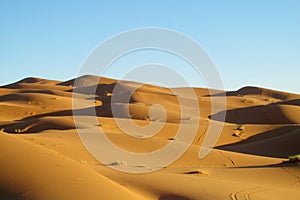 Africa sand desert dunes