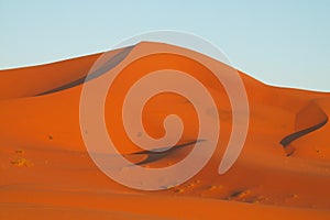 Africa sand desert dunes at sunset