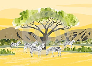 Africa. Savanna landscape with zebras. Reserves and national parks outdoor. Bright hand draw vector Illustration with animals,