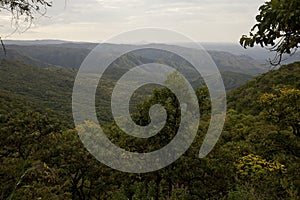 Africa, south Ethiopia, Mago national park