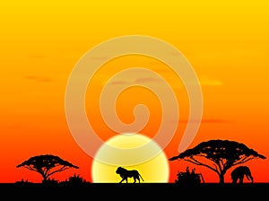 Africa sundown