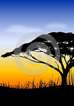 Africa sundown landscape