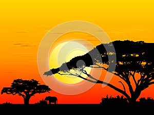 Africa sundown (vector)