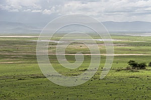 Africa Tanzania Ngorongoro crater