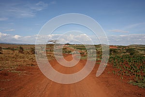 Africa,Tanzania, red street