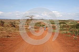 Africa,Tanzania, street at plantations of coffee photo