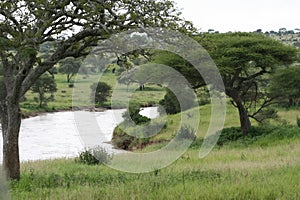 Africa Tanzania Tarangire River park reserve