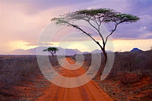 Africa a typical landscape in Kenya photo