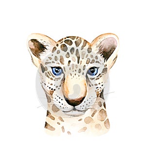 Africa watercolor savanna leopard, animal illustration. African Safari wild cat cute exotic animals face portrait