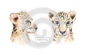 Africa watercolor savanna leopard, animal illustration. African Safari wild cat cute exotic animals face portrait