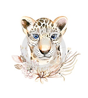 Africa watercolor savanna leopard, animal illustration. African Safari wild cat cute exotic animals face portrait