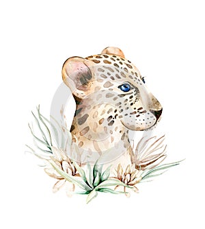 Africa watercolor savanna leopard, animal illustration. African Safari wild cat cute exotic animals face portrait character.