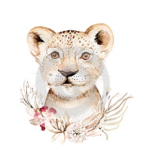 Africa watercolor savanna lion, animal illustration. African Safari wild cat cute exotic animals face portrait character