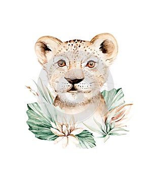 Africa watercolor savanna lion, animal illustration. African Safari wild cat cute exotic animals face portrait character