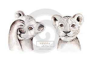 Africa watercolor savanna lion, animal illustration. African Safari wild cat cute exotic animals face portrait character