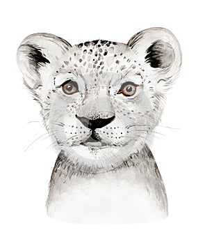 Africa watercolor savanna lion, animal illustration. African Safari wild cat cute exotic animals face portrait character