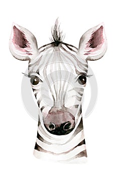 Africa watercolor savanna zebra animal. African Safari cute animals portrait character.Perfect for wallpaper print