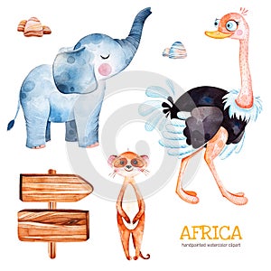 Safari collection with ostrich, elephant, meercat, wooden sign, stones. photo