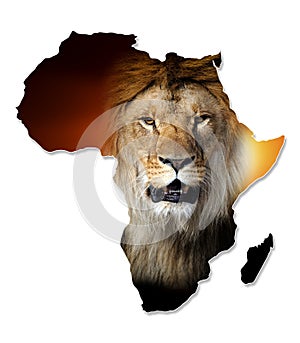 Africa Wildlife Map Design