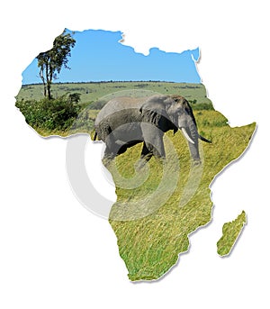 Africa Wildlife Map Design