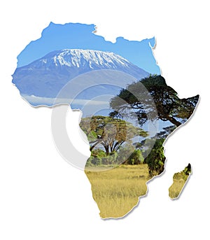 Africa Wildlife Map Design