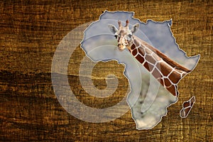 Africa Wildlife Map Design