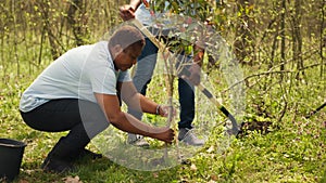 African american activists planting trees for nature preservation