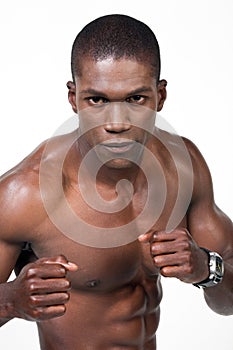 African american boxer