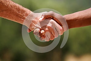 African american and European american men shake hands