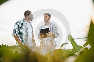 An African-American farmer and an Indian businessman in a soybean field discuss the sale of soybeans