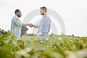 An African-American farmer and an Indian businessman in a soybean field discuss the sale of soybeans