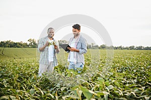 An African-American farmer and an Indian businessman in a soybean field discuss the sale of soybeans