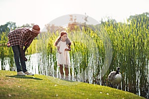 african american granddaughter and her grandfather feeding goose on pond