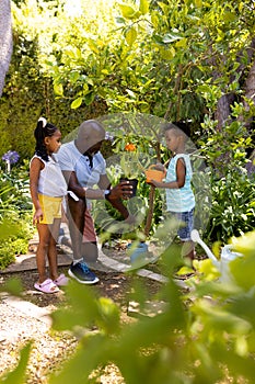 African american grandfather planting vegetables with grandchildren in yard