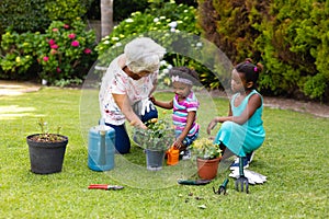 African american grandmother gardening with granddaughters kneeling by plants in backyard