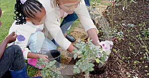 African american grandmother, grandson and granddaughter planting flowers in garden, slow motion