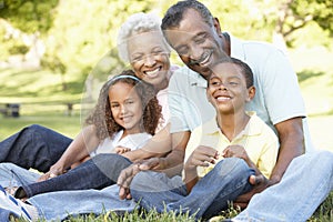 African American Grandparents With Grandchildren Relaxing In Par