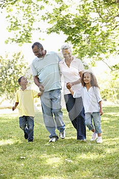 African American Grandparents With Grandchildren Walking In Park