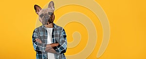 African American Guy With Dog Face Crossing Hands, Yellow Background