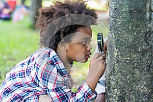 African American little boy using magnifying glass to explore and look bugs on the tree between learning beyond the classroom.