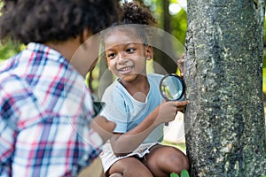 African American little girls with friends exploring and looking bugs on the tree with the magnifying glass between learning