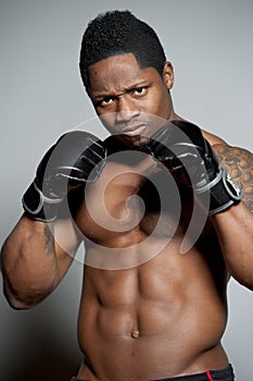 African American Male Boxer