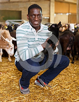 Farmworker carrying goatlings photo