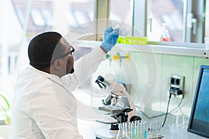 African-american medical doctor working in research lab. Science assistant making pharmaceutical experiments. Chemistry