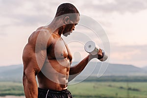 African american muscular athlete lifting dumbbells against the sunset sky background