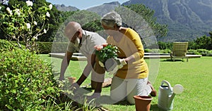 African american senior couple gardening together in the garden on a bright sunny day