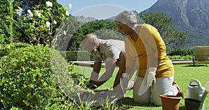 African american senior couple smiling while gardening together in the garden on a bright sunny day