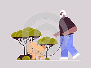 african american senior man walking in park with his little dog grandfather relaxing with pet